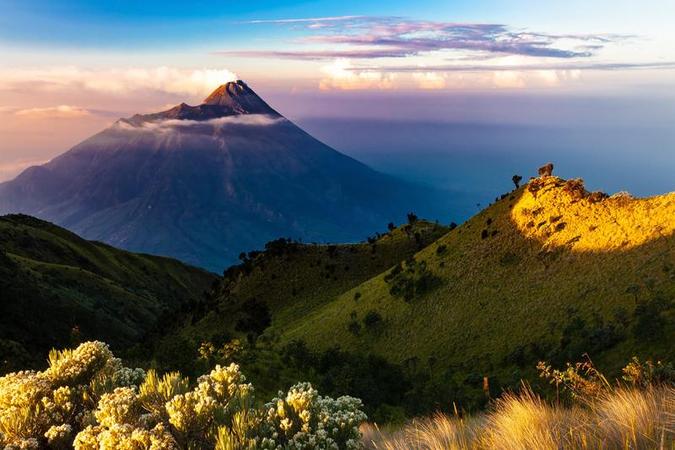 打胎药哪里可以买到微信购买，私人