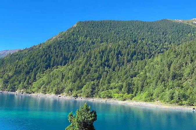 h打胎药淘宝购买微信购买，